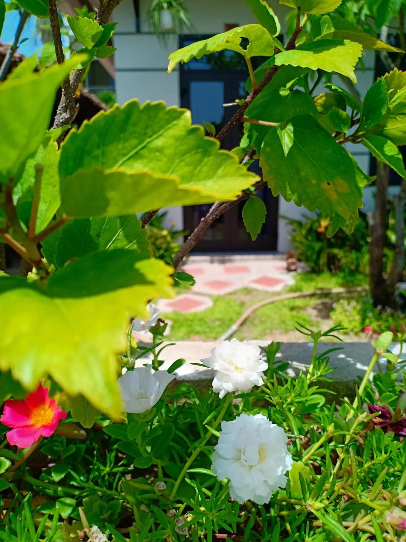 Hoi An Garden Sea Homestay Exterior photo
